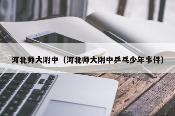 河北师大附中（河北师大附中乒乓少年事件）