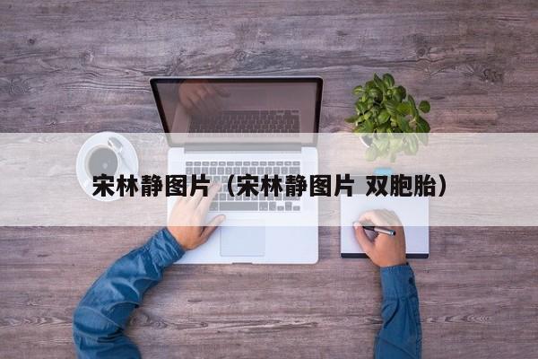 宋林静图片（宋林静图片 双胞胎）