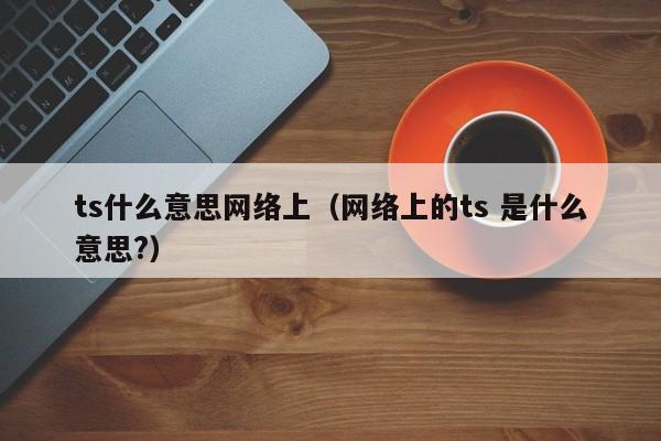 ts什么意思网络上（网络上的ts 是什么意思?）