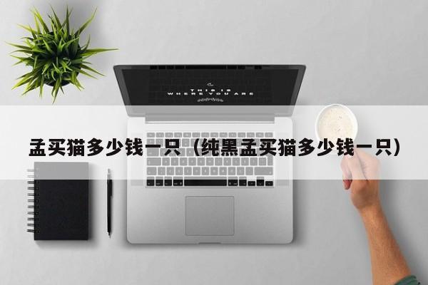 孟买猫多少钱一只（纯黑孟买猫多少钱一只）