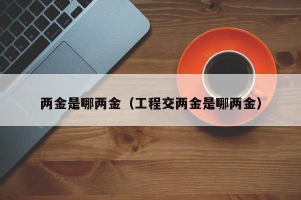两金是哪两金（工程交两金是哪两金）