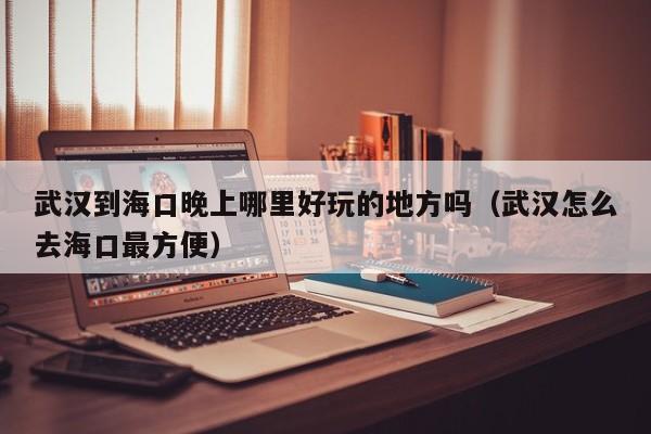 武汉到海口晚上哪里好玩的地方吗（武汉怎么去海口最方便）