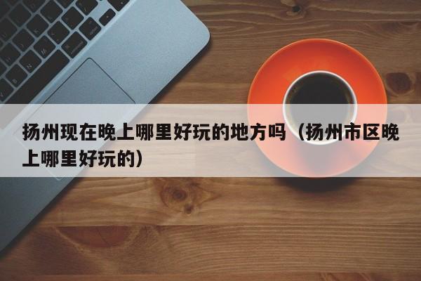 扬州现在晚上哪里好玩的地方吗（扬州市区晚上哪里好玩的）