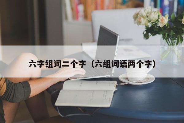 六字组词二个字（六组词语两个字）