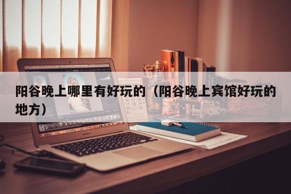 阳谷晚上哪里有好玩的（阳谷晚上宾馆好玩的地方）
