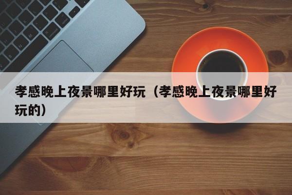 孝感晚上夜景哪里好玩（孝感晚上夜景哪里好玩的）