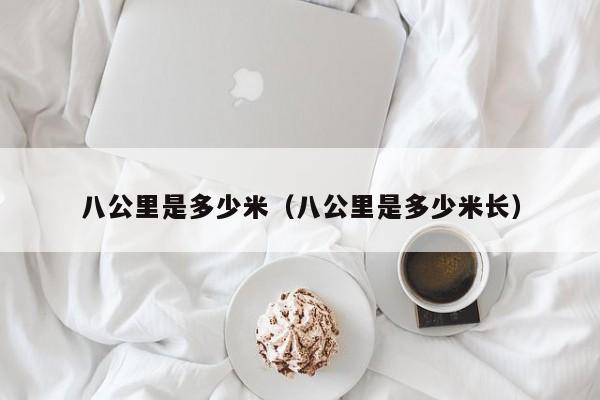 八公里是多少米（八公里是多少米长）