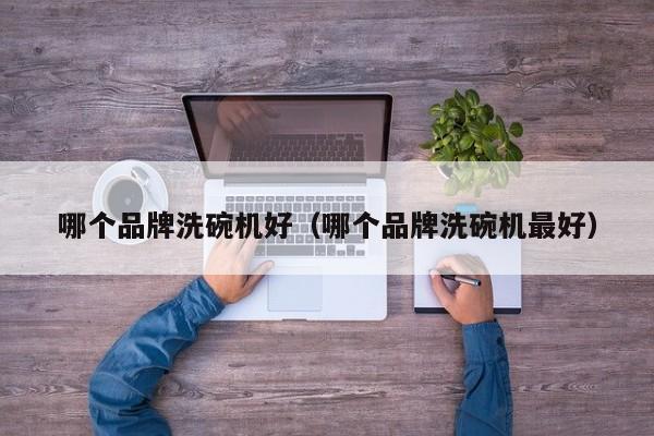 哪个品牌洗碗机好（哪个品牌洗碗机最好）