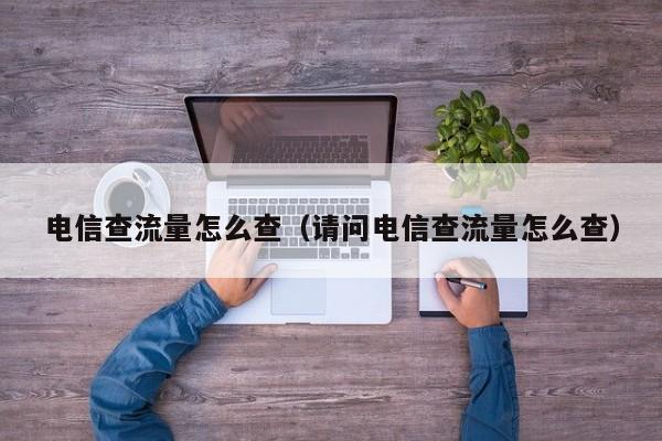 电信查流量怎么查（请问电信查流量怎么查）