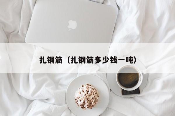 扎钢筋（扎钢筋多少钱一吨）
