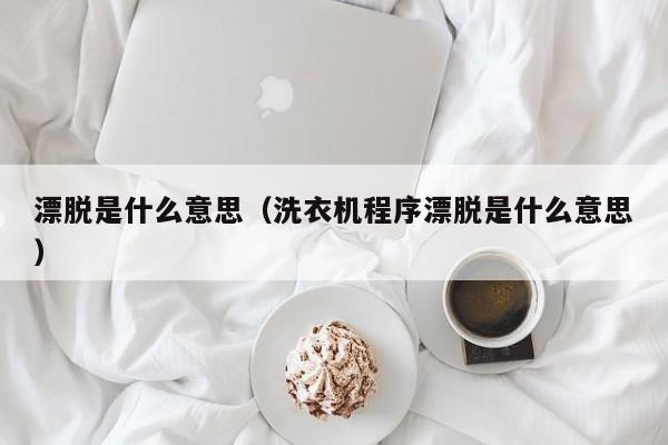 漂脱是什么意思（洗衣机程序漂脱是什么意思）