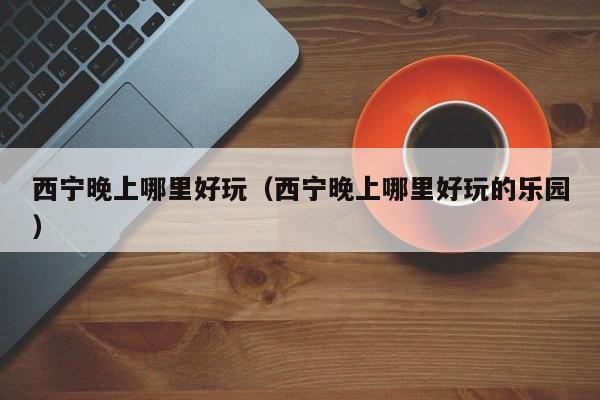 西宁晚上哪里好玩（西宁晚上哪里好玩的乐园）