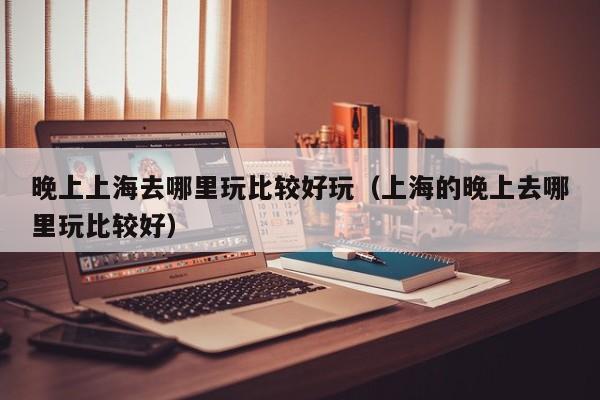 晚上上海去哪里玩比较好玩（上海的晚上去哪里玩比较好）