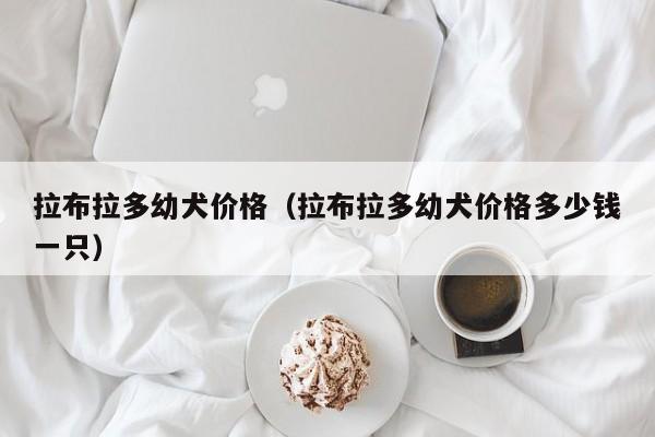 拉布拉多幼犬价格（拉布拉多幼犬价格多少钱一只）
