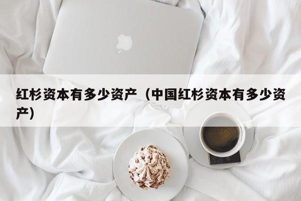 红杉资本有多少资产（中国红杉资本有多少资产）