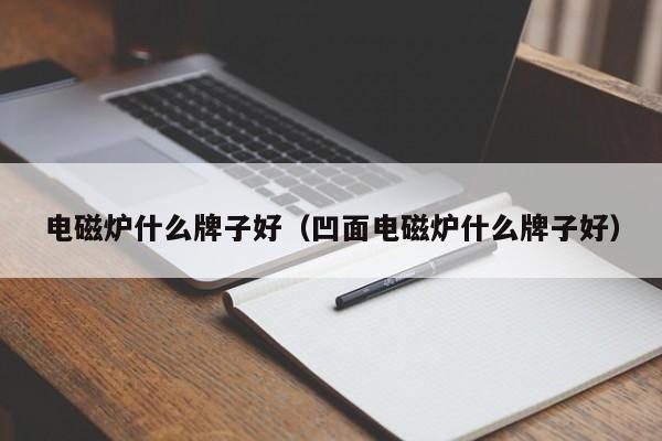 电磁炉什么牌子好（凹面电磁炉什么牌子好）