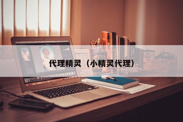 代理精灵（小精灵代理）