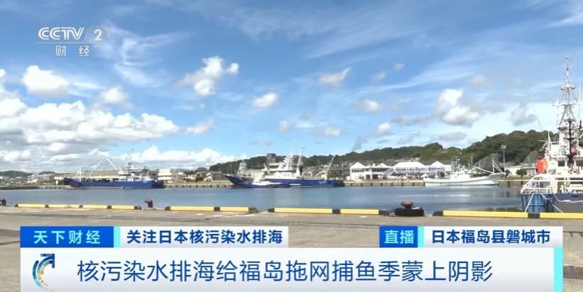 订单取消！鲍鱼已降价30%！日本水产品价格暴跌…