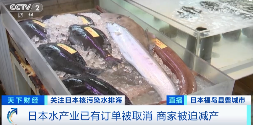 订单取消！鲍鱼已降价30%！日本水产品价格暴跌…