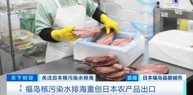 订单取消！鲍鱼已降价30%！日本水产品价格暴跌…