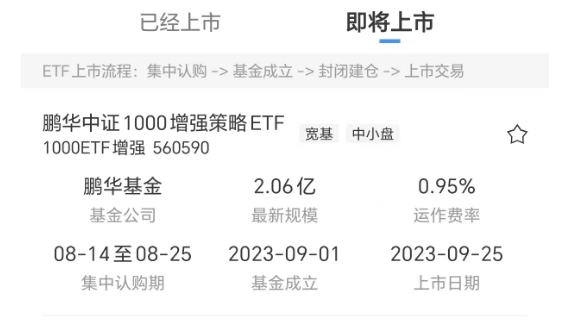 大涨后，如何操作