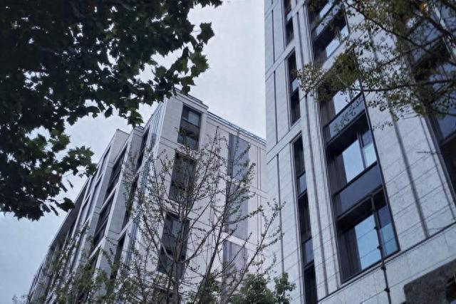 女子入住四千多万元买的豪宅总闻到邻居炒菜味，怎么修都没用