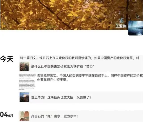 迷雾中的王亚伟