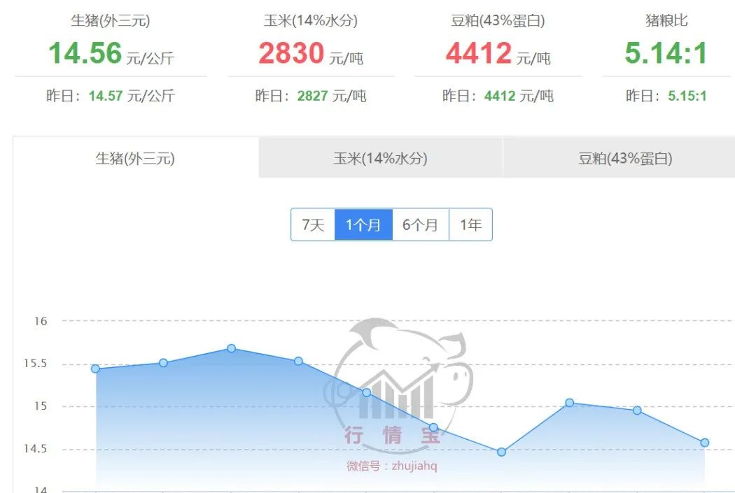2023年12月3日国内生猪价格一览