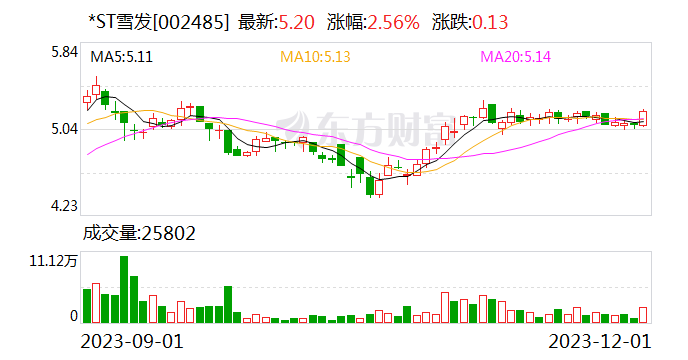因信息披露不准确 *ST雪发及责任人收警示函