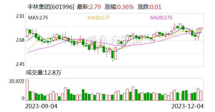 上交所考察小组调研丰林集团