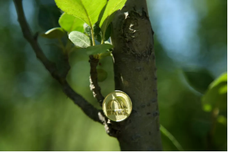 东方雨虹：耐根穿刺防水卷材真假鉴别指南